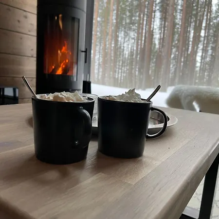 Διαμέρισμα Tieva B Ski-in Ski-out By Aavalevi Levi