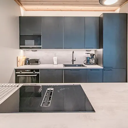 Tieva B Ski-in Ski-out By Aavalevi