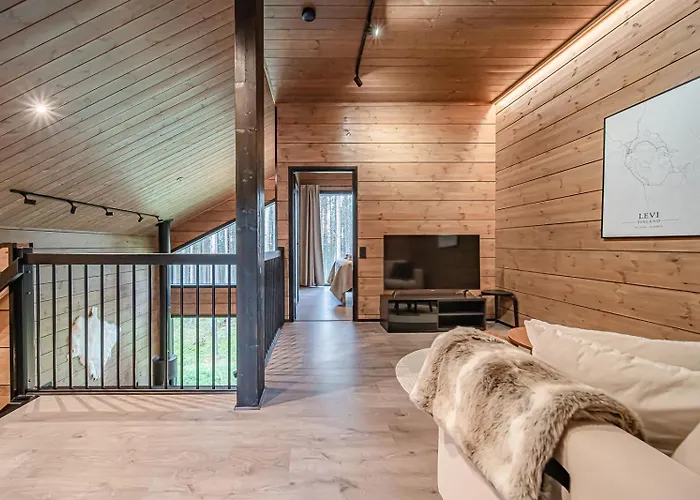 Tieva B Ski-in Ski-out By Aavalevi * Levi