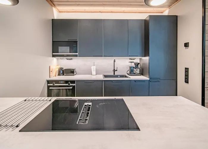 Tieva B Ski-in Ski-out By Aavalevi