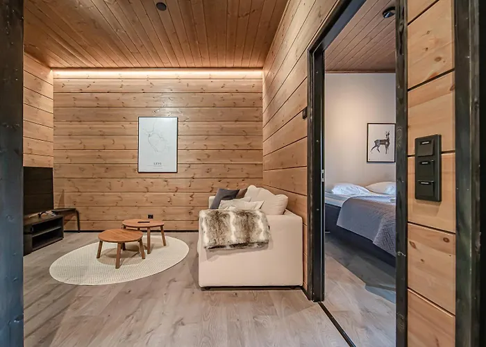 Tieva B Ski-in Ski-out By Aavalevi *