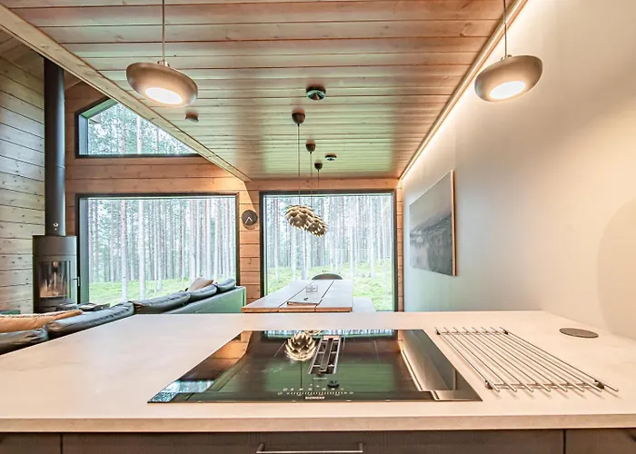 Tieva B Ski-in Ski-out By Aavalevi *