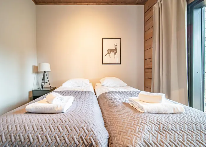 Tieva B Ski-in Ski-out By Aavalevi Levi