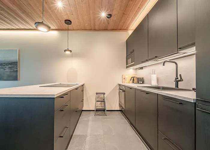 Appartement Tieva B Ski-in Ski-out By Aavalevi *